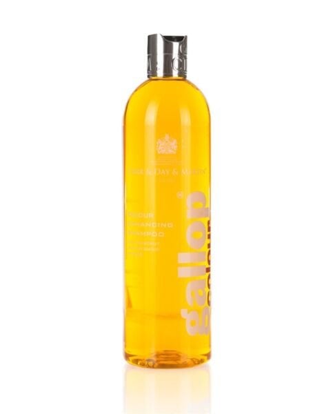 GALLOP COLOUR CHESTNUT PALOMINO 500 ML