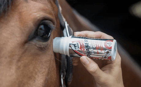 LEOVET POWER PHASER ROLL ON